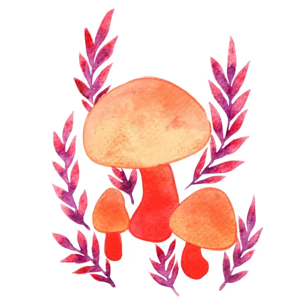 Φαντασία Πορτοκαλί Μανιτάρι Πολύχρωμη Φτέρη Ακουαρέλα Για Διακόσμηση Παραμύθια Δάσος — Φωτογραφία Αρχείου