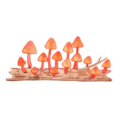 Eski kereste sınırında turuncu mantar doğa ve kırsal yaşam tarzı kavramını süslemek için suluboya resimleme.