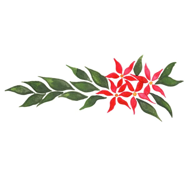 Bündel Roter Weihnachtsblumen Und Blätter Aquarell Zur Dekoration Weihnachten Und — Stockfoto
