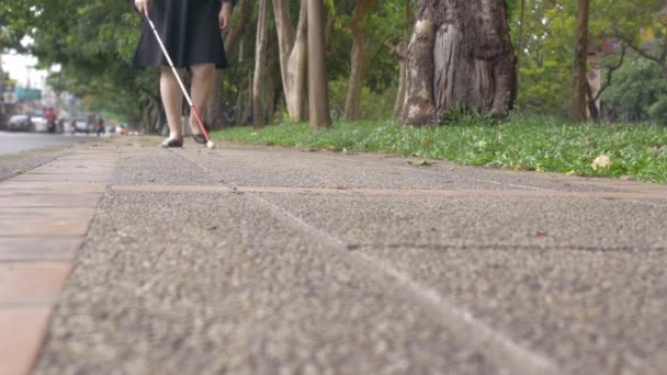 残疾失明妇女带着一根长长的白色手杖在人行道上行走 这是一种行动工具 用于检测盲人或视力受损者道路上的物体 — 图库视频影像