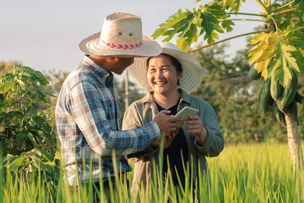 Casal Feliz Agricultor Asiático Usando Monitoramento Tablet Digital Gerenciamento Campo — Fotografia de Stock