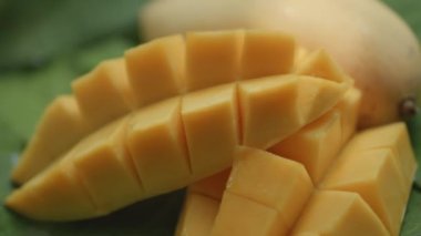 Olgun Barakuda mangosunun yakın plan görüntüsü veya organik çiftlikteki sarı tropikal meyve yavaşça döner. Kesiğin içindeki sulu dokuyu ve yeşil mango yapraklarındaki meyveleri gösterir.. 