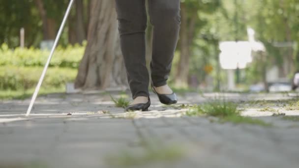 Vrouw Met Een Blindheid Handicap Lopen Stoep Bevatten Tactiele Bestrating — Stockvideo