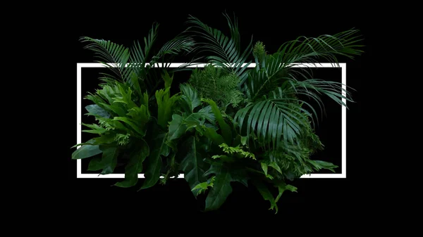 Folhas Tropicais Folhagem Selva Planta Arbusto Arranjo Floral Interior Natureza — Fotografia de Stock
