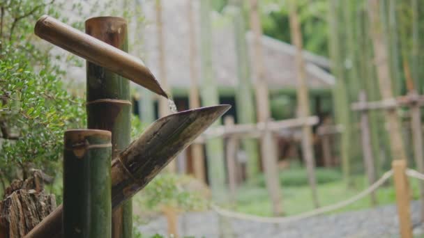 Bamboo Water Fountain Shishi Odoshi Japanese Garden Japanese Device Made — Vídeo de Stock