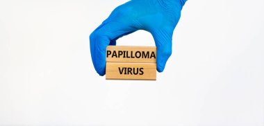 Papilloma virüsü sembolü. Mavi eldivenli doktor elinde tahta bloklar tutuyor. Üzerinde Papilloma virüsü yazıyor. Güzel beyaz bir zemin. Tıbbi ve papilloma virüsü kavramı.