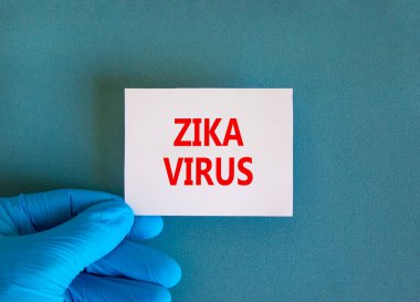 Zika virüsü sembolü. Üzerinde Zika virüsü yazan beyaz bir not, güzel mavi arka plan, mavi eldivenli bir doktor. Tıbbi ve Zika virüs kavramı.
