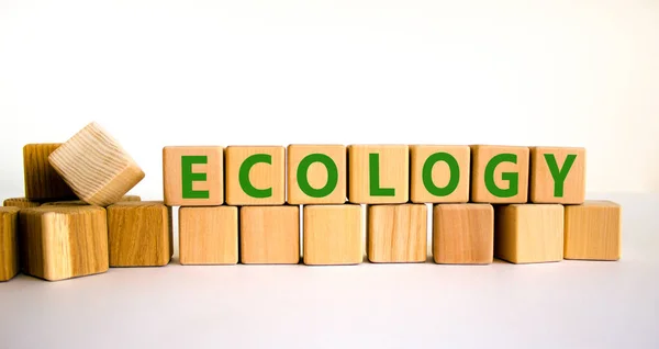 Ecologisch Symbool Het Concept Woord Ecologie Houten Blokjes Mooie Witte — Stockfoto