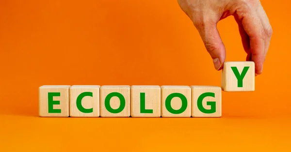 Ecologisch Symbool Het Concept Woord Ecologie Houten Blokjes Mooie Oranje — Stockfoto