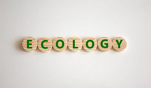 Ecologisch Symbool Het Concept Woord Ecologie Houten Cirkels Mooie Witte — Stockfoto