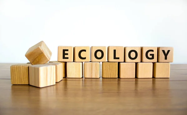 Ecologisch Symbool Het Concept Woord Ecologie Houten Blokjes Mooie Houten — Stockfoto