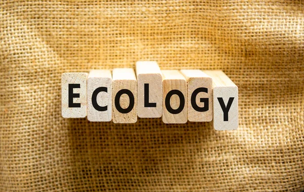 Ecologisch Symbool Het Concept Woord Ecologie Houten Blokken Mooie Canvas — Stockfoto