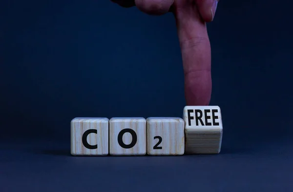 Co2 Changes Free Symbol Businessman Turns Wooden Cube Changes Words — Fotografia de Stock