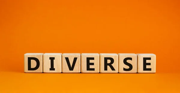 Symbole Diversité Diversité Mot Concept Diverse Sur Cubes Bois Belle — Photo