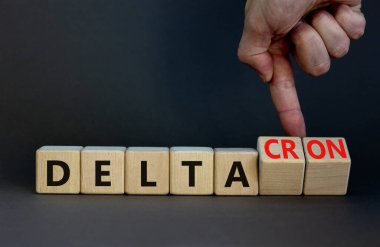Covid-19 delta ve deltacron sembolü. Doktor küpleri döndürür ve delta kelimesini deltakron olarak değiştirir. Güzel gri arkaplan. Tıbbi, covid-19 Corona delta ve deltacron konsepti. Boşluğu kopyala.