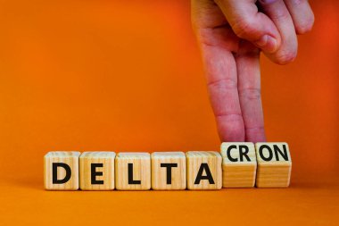 Covid-19 delta ve deltacron sembolü. Doktor küpleri döndürür ve delta kelimesini deltakron olarak değiştirir. Güzel turuncu arka plan. Tıbbi, covid-19 Corona delta ve deltacron konsepti. Boşluğu kopyala.