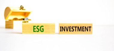 ESG Çevre Yönetimi Yatırım Sembolü. Güzel beyaz bir arka planda bloklara ESG yatırımı kavramı. Bozuk paralarla dolu tahta sandık. İş, ESG yatırım konsepti. Boşluğu kopyala.