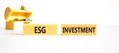 ESG Çevre Yönetimi Yatırım Sembolü. Güzel beyaz bir arka planda bloklara ESG yatırımı kavramı. Bozuk paralarla dolu tahta sandık. İş, ESG yatırım konsepti. Boşluğu kopyala.