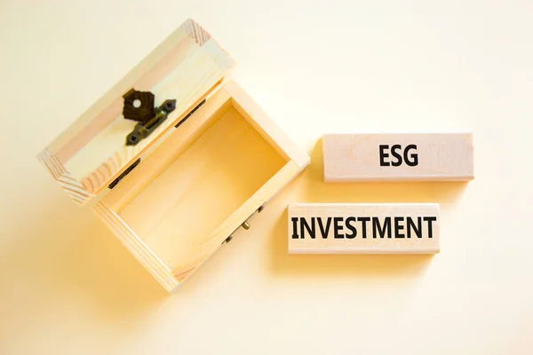 Esg环境社会治理投资标志 概念词Esg投资在漂亮的白色背景上的块 空木箱 Esg投资理念 复制空间 — 图库照片