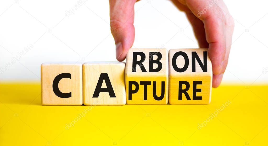 Carbon capture symbol. Businessman turns wooden cubes and changes the concept word Carbon to Capture. Beautiful yellow table white background. Business ecological carbon capture concept. Copy space.