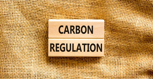 炭素規制のシンボル コンセプトワード美しいキャンバステーブルキャンバスの背景に木製ブロック上の炭素規制 ビジネスと炭素規制の概念 コピースペース — ストック写真