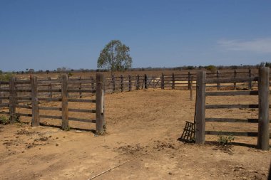 Güneşli bir günde kuru bir yerde ağıl ortaya çıktı.