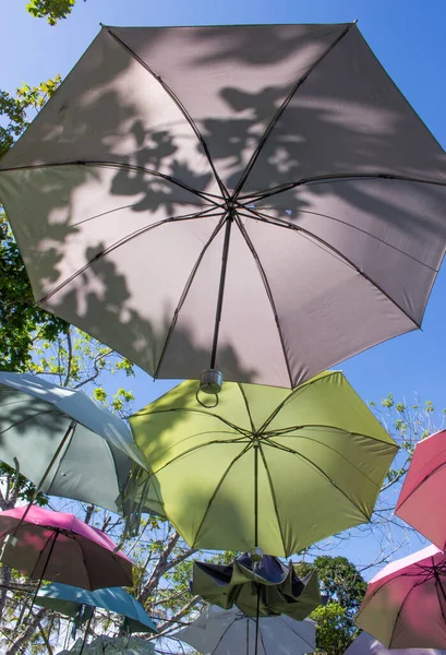 Colorful Umbrella Ceiling Plants Sunny Day — Stock Photo, Image