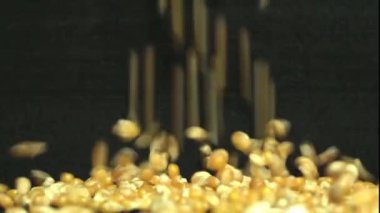 Siyah arkaplana düşen sarı mısır