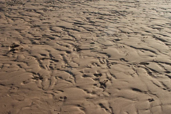 Nassen Strand Braune Sand Textur — Stockfoto