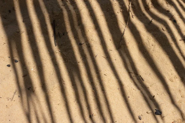 Nahaufnahme Des Schattens Einer Kokospalme Strand — Stockfoto