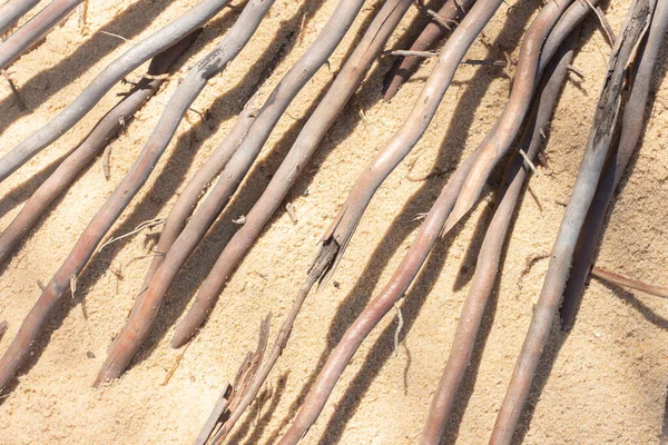 用海滩沙包着椰子树根的特写纹理 — 图库照片