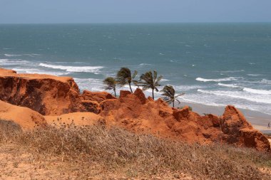 Üç hindistan cevizi ağacı olan güzel bir sahil manzarası.