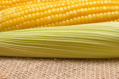 Bir masada mısır kabuğunda pişirilmiş birkaç mısır.