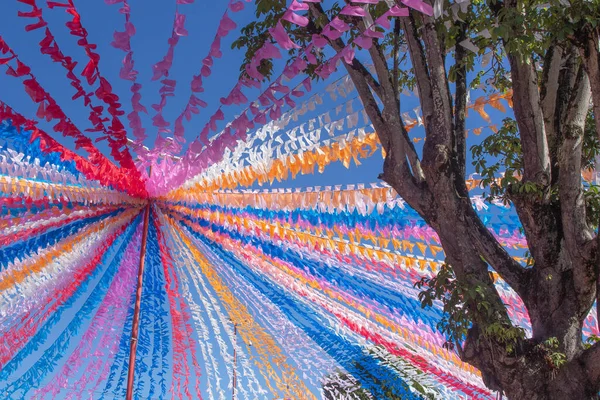 Beautiful Colorful Festa Junina Flags Next Tree — Stock Photo, Image