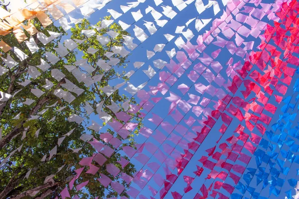 Beautiful Colorful Festa Junina Flags Next Tree — Stock Photo, Image