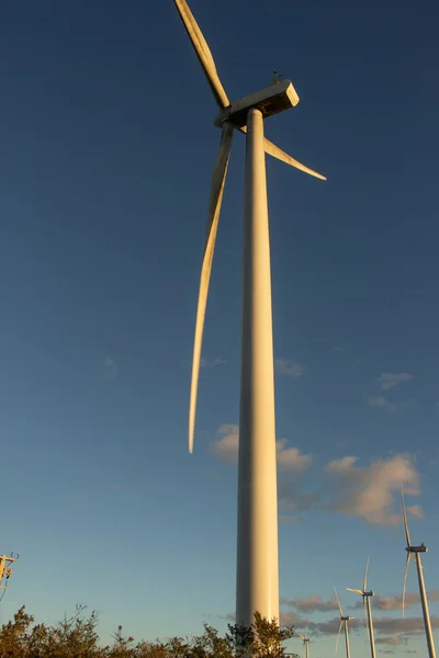 wind power tower in the late afternoon
