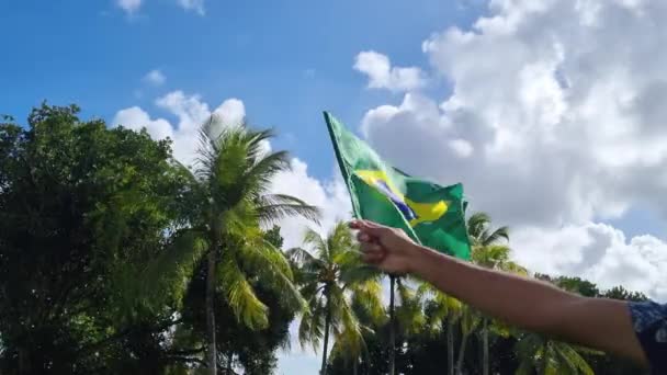 Mão Segurando Uma Bandeira Brasileira — Vídeo de Stock