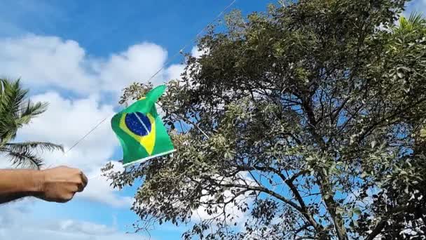 Main Tenant Sur Drapeau Brésilien Dans Une Journée Ensoleillée — Video