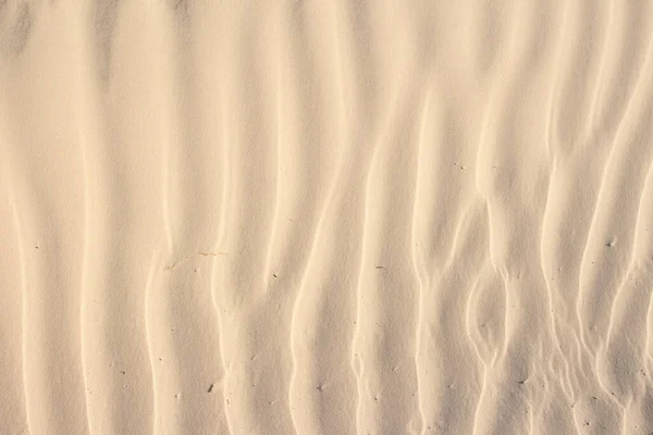 Sand Beige Texture Sunny Day Texture — Stock Photo, Image