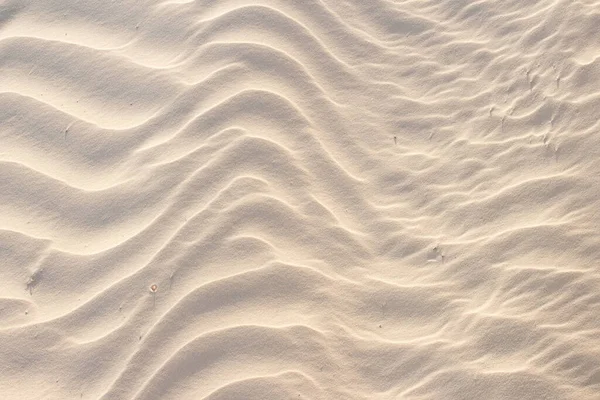 Sand Beige Texture Sunny Day Texture — Stock Photo, Image