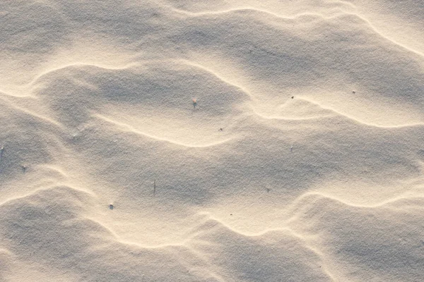 Sand Beige Texture Sunny Day Texture — Stock Photo, Image