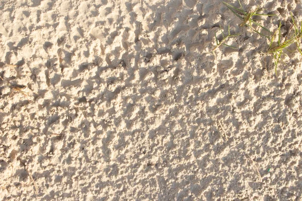 Sand Beige Texture Sunny Day Texture — Stock Photo, Image