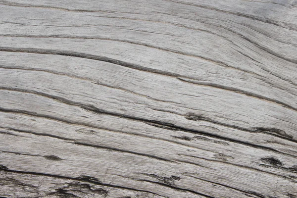 Textura Madeira Dia Ensolarado Textura — Fotografia de Stock