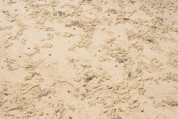 Άμμο Μπεζ Υφή Μια Ηλιόλουστη Μέρα Υφή — Φωτογραφία Αρχείου