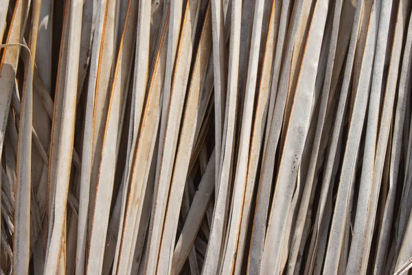 Holzstruktur Einem Sonnigen Tag Textur — Stockfoto