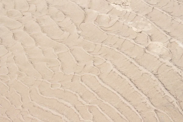 Sand Beige Texture Sunny Day Texture — Stock Photo, Image