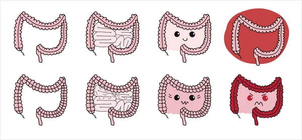 Juego Ilustración Gastrointestinal Simple Del Sistema Interno Intestinal Concepto Intestino — Vector de stock