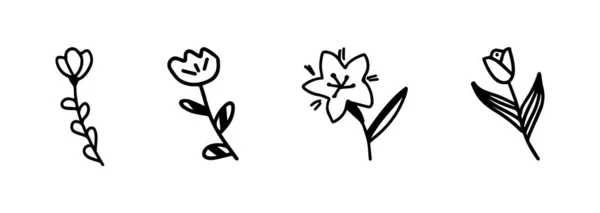 Siyah çiçek desenli karalamalar. Çiçek çeşitliliği, elle çizilmiş. Bahar temalı taslak ögeleri — Stok Vektör