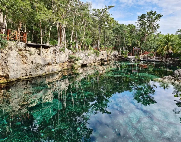 Piękny cenote z turkusową wodą w Jukatanie, Meksyk. Otwarta podziemna rzeka w Quintana Roo. — Zdjęcie stockowe