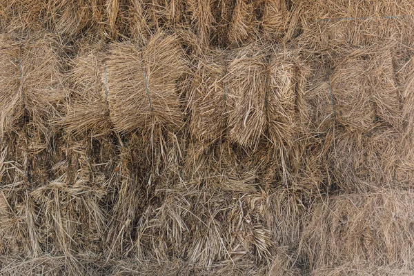Hay bales storage on a shed from a countryside farm. Rural lifestyle. Close up.  Straw pattern background